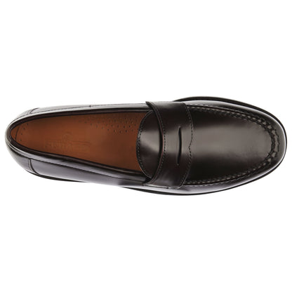Ryan Brushed Polaris - Brown Burgundy